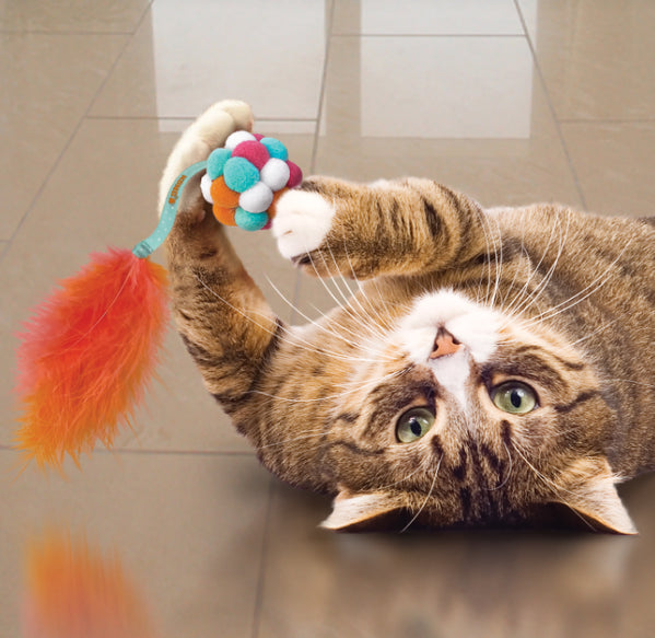 Kong Cat Active Bubble Ball Teaser