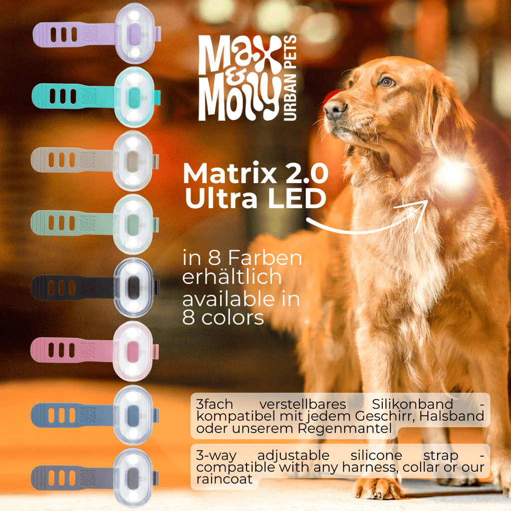 Max & Molly Matrix 2.0 Ultra Led Safety Light