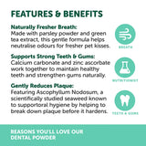NAS Dental Powder