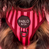 Pablo & Co Adjustable Harness Blushing Stripes