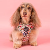 Pablo & Co Adjustable Harness Farmers Market