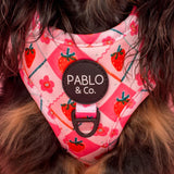 Pablo & Co Adjustable Harness Strawberry Patch