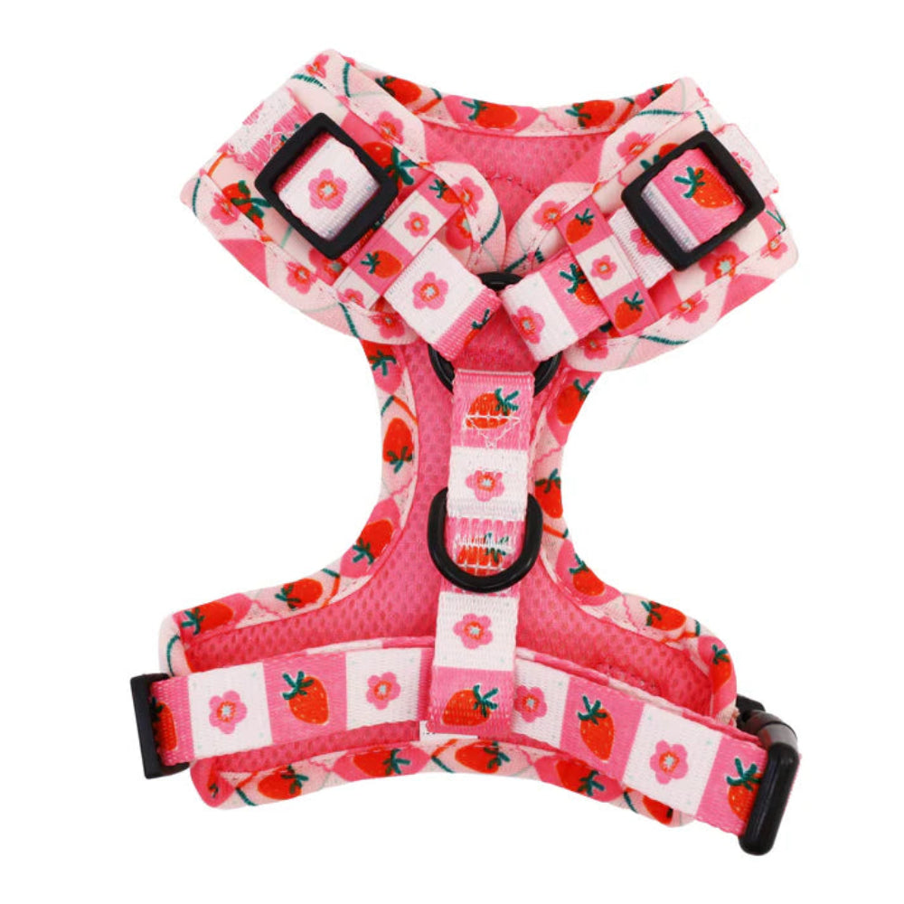Pablo & Co Adjustable Harness Strawberry Patch