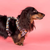 Pablo & Co Adjustable Harness Sunny Sunflowers