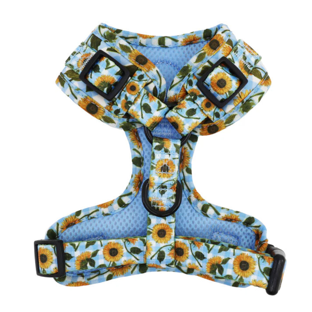 Pablo & Co Adjustable Harness Sunny Sunflowers