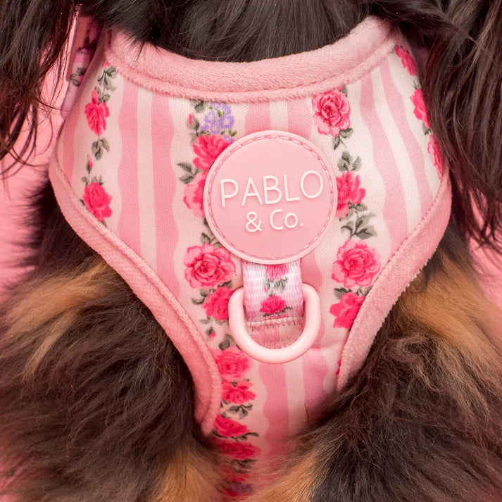 Pablo & Co Adjustable Harness Vintage Rose