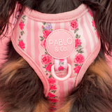 Pablo & Co Adjustable Harness Vintage Rose