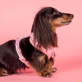 Pablo & Co Adjustable Harness Vintage Rose
