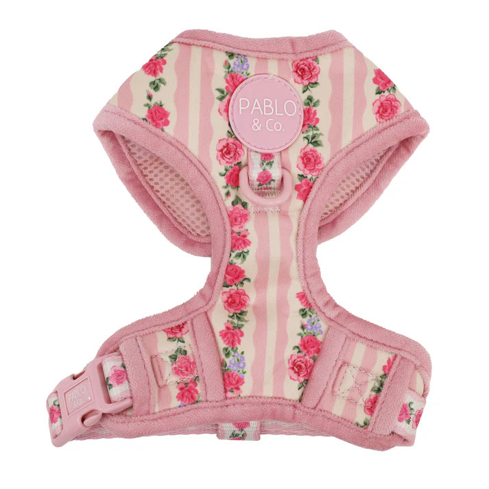 Pablo & Co Adjustable Harness Vintage Rose