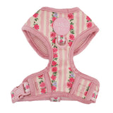 Pablo & Co Adjustable Harness Vintage Rose