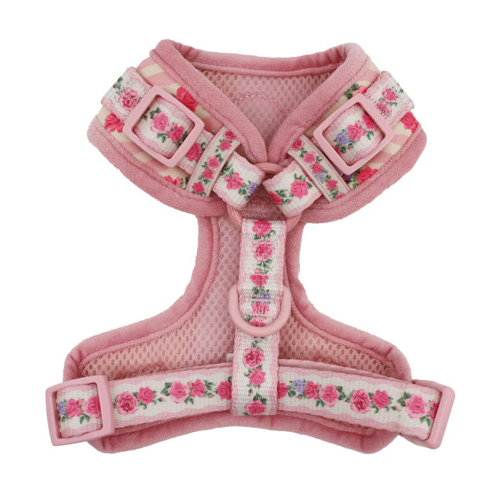 Pablo & Co Adjustable Harness Vintage Rose