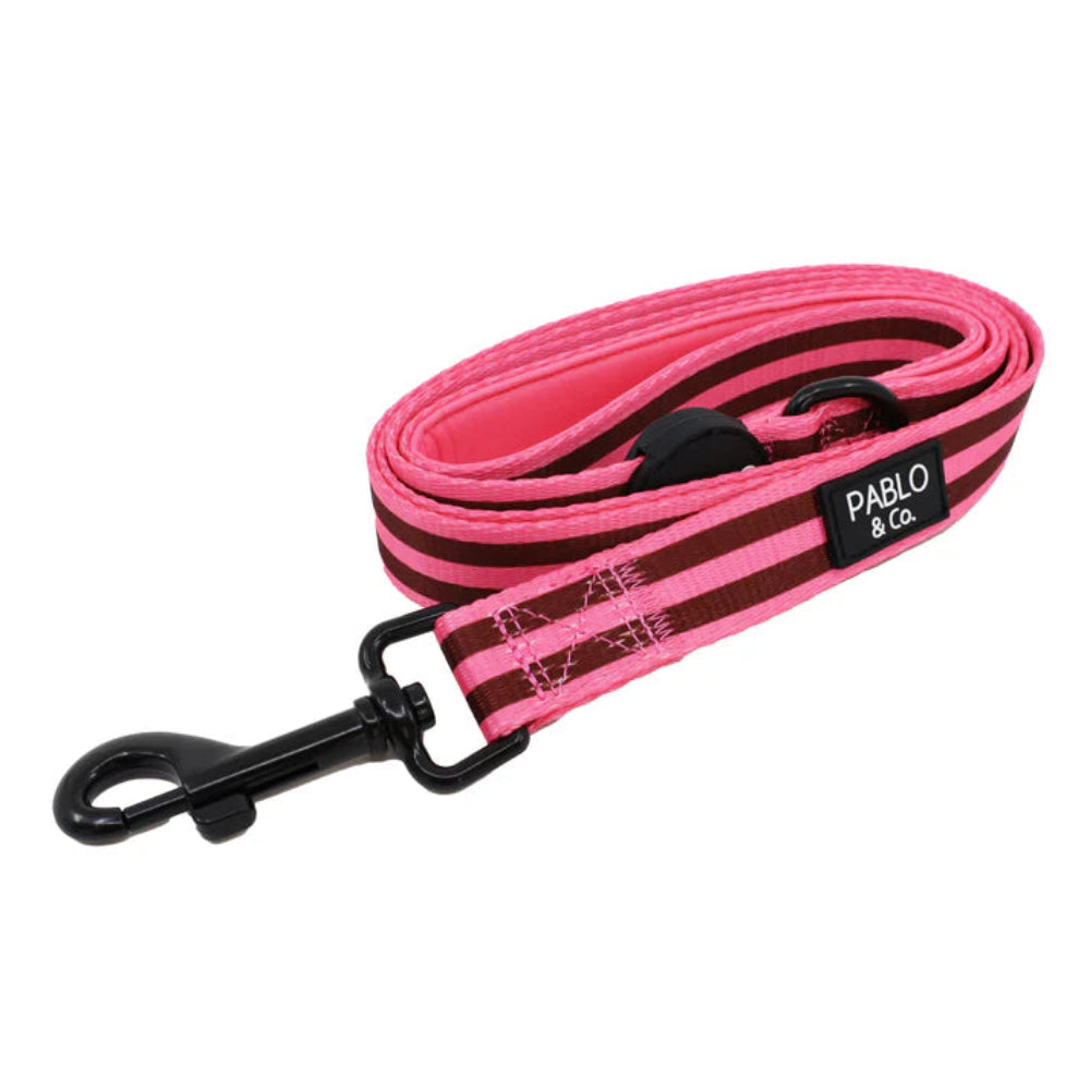 Pablo & Co Dog Leash Blushing Stripes