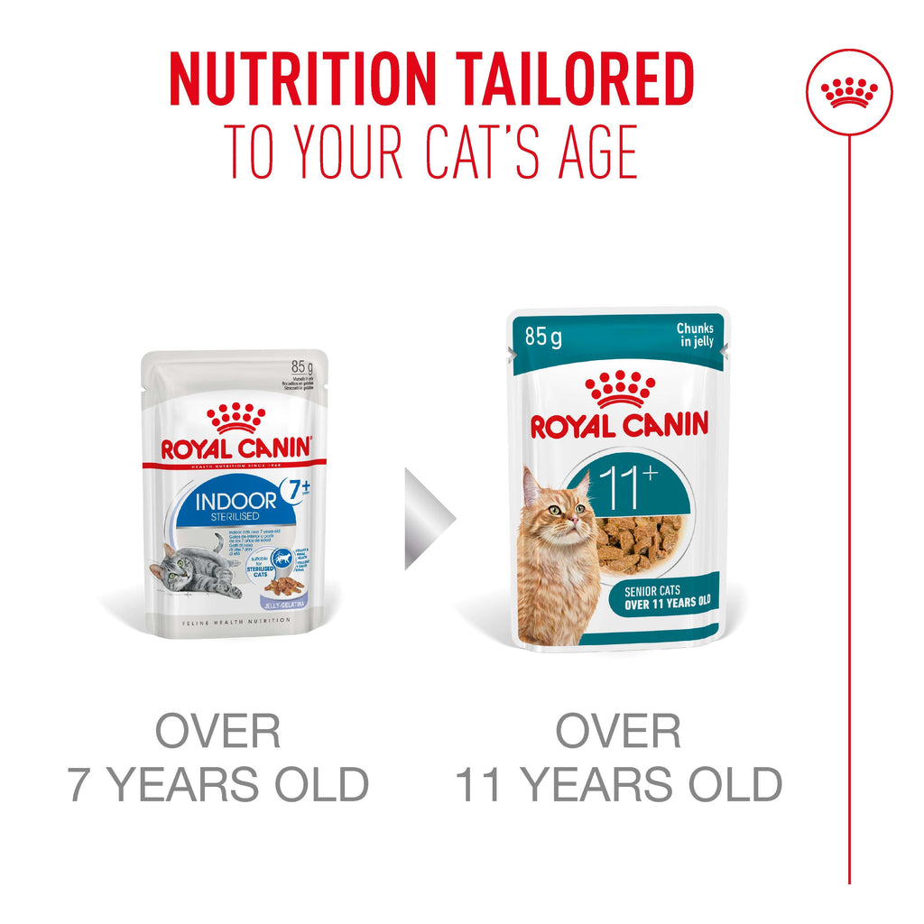 Royal Canin Cat Ageing 11+ Jelly Pouch 85g