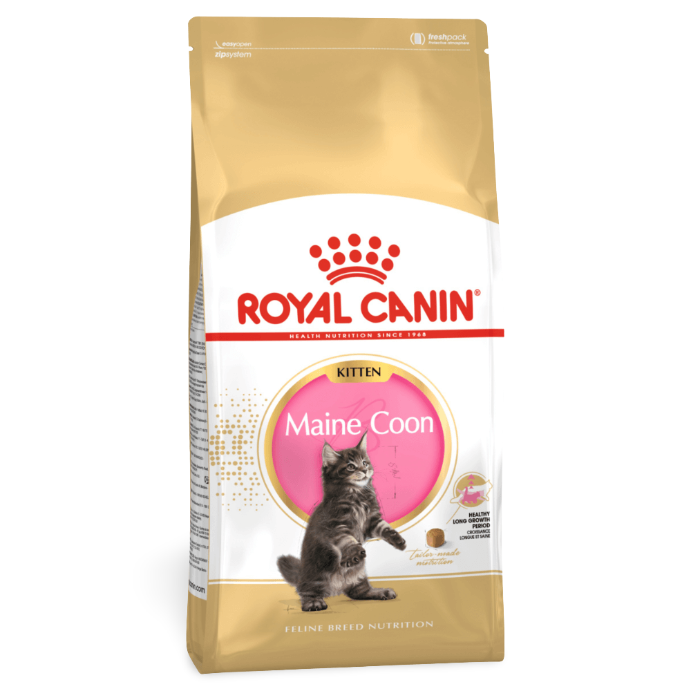 Royal Canin Maine Coon Kitten