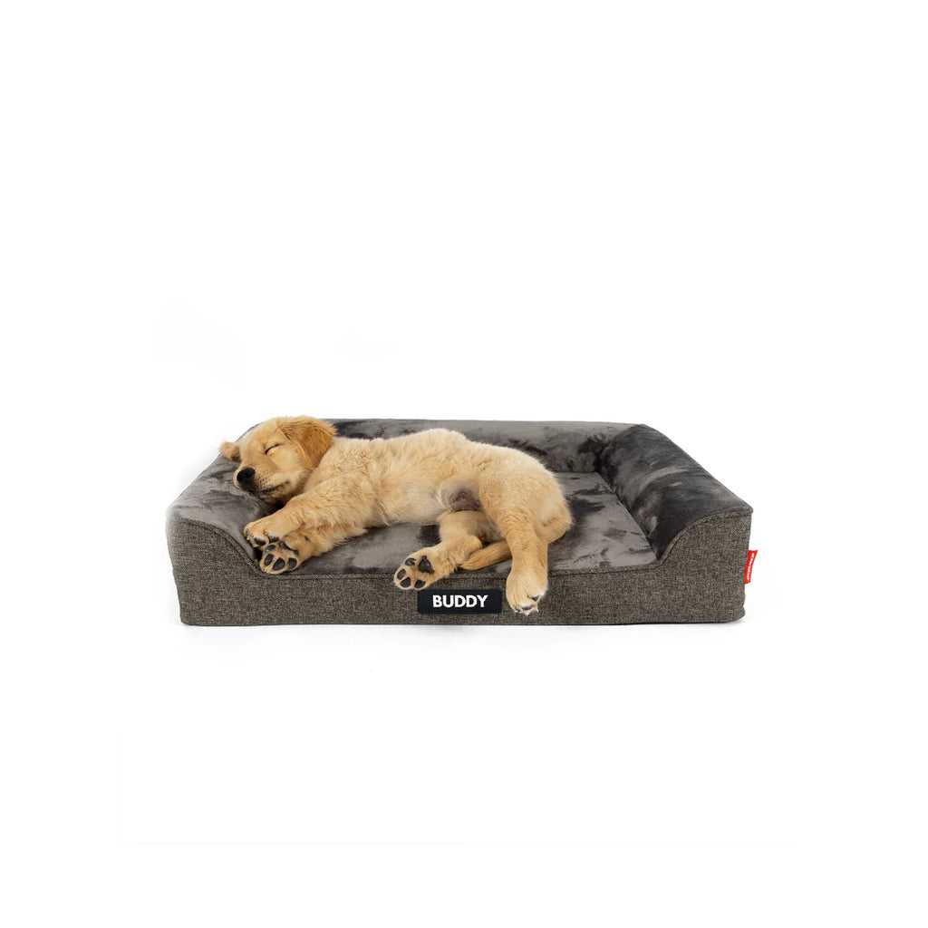 EzyDog Next-Gen Ortho Lounger Bed