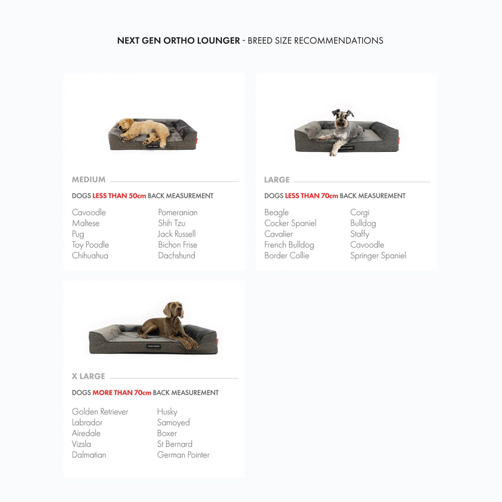 EzyDog Next-Gen Ortho Lounger Bed