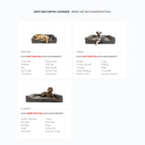 EzyDog Next-Gen Ortho Lounger Bed