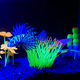 Wham Fluro Lion Fish