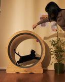 Whiskers Wonderland - Bamboo Cat Running Wheel