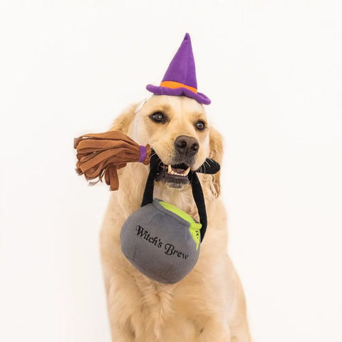 ZippyPaws Halloween Costume Kit - Witch