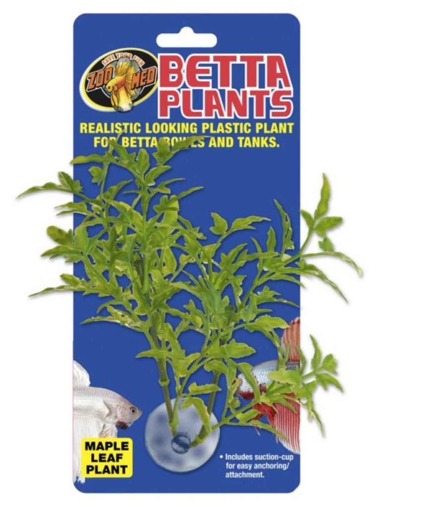 Zoo Med Betta Plant Maple Leaf – naturalistic plastic maple leaf plant with suction cup for betta bowls and nano tanks provides hiding and resting cover for betta fish