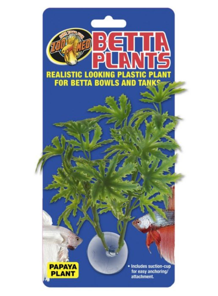 Zoo Med Betta Plant Papaya – naturalistic plastic papaya-style plant with suction cup for betta bowls and nano tanks provides hiding and resting cover for betta fish