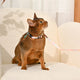 HugSmart Pet - Cat Harness & Leash Set