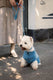 Fuzzyard Life Atelier Rope Dog Lead