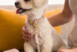 Fuzzyard Life Atelier Rope Dog Lead