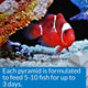 API Weekend Pyramid Fish Feeder 3 day