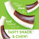 Spunky Pup Snack & Chew Antler Dog Chew Toy
