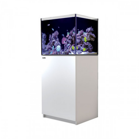 Red Sea Reefer 170