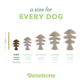 Benebone Fishbone