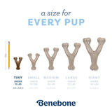 Benebone Puppy Wishbone