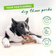 Benebone Wishbone Bacon