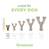 Benebone Wishbone Bacon