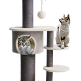 Charlie Cat Scratcher