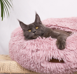Hideout Bed