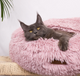 Hideout Bed