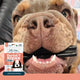 Bell and Bone Dental Sticks - Salmon, Mint and Charcoal