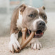 Benebone Wishbone Bacon Medium