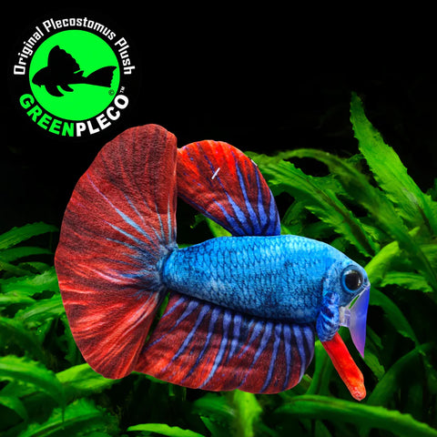 Fish Plushie - Betta Blue/Red 17cm