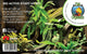 Fish Organic - Bio Active Start Up Kit