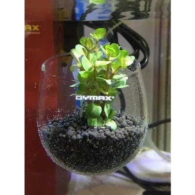 Dymax Crystal Cultivating Pot – Upmarket Pets Melbourne