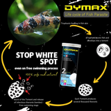 Dymax - Natural Rid (8tabs/box) - White spot Treatment