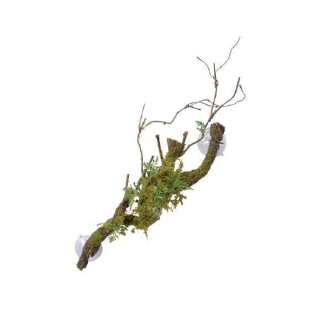 Eco Tech Large Vine Cluster w/Moss Lichen