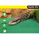 Reptile Enclosure Carpet Reusable 2 Pack