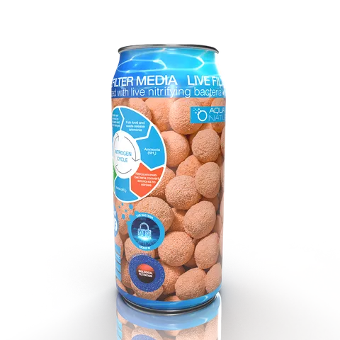 Live Spheres 500ml Can