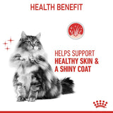 Royal Canin Cat Hair and Skin Loaf Pouch 85g