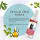 Bioline Anti-Flea & Tick Spray